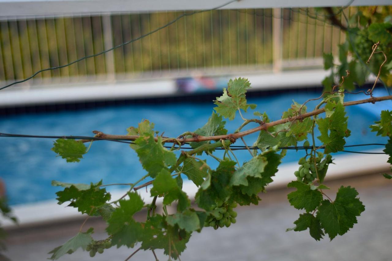 Apartments Nika Mlini Zewnętrze zdjęcie
